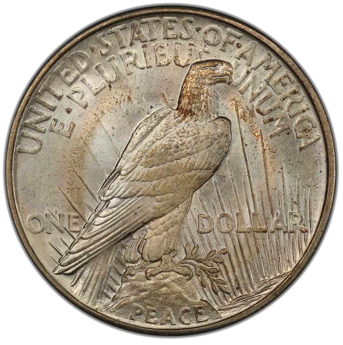 Reverse