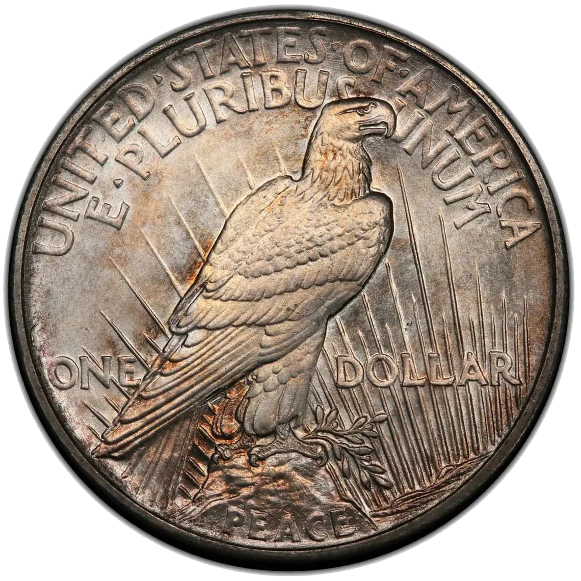 Reverse