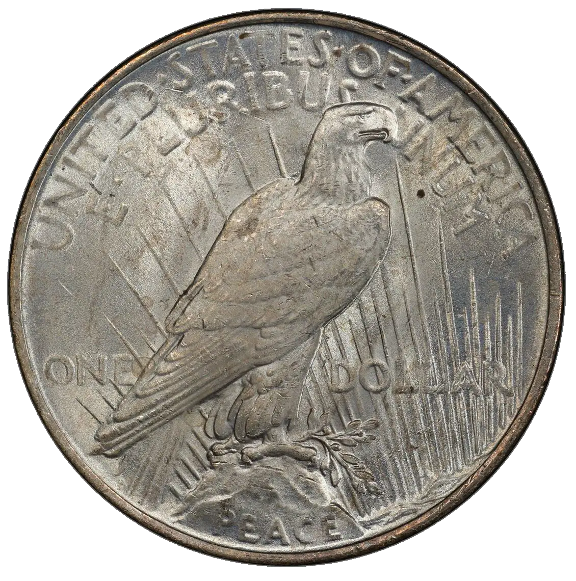 Reverse