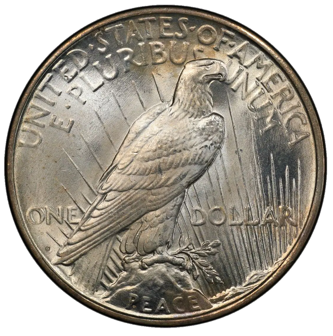 Reverse