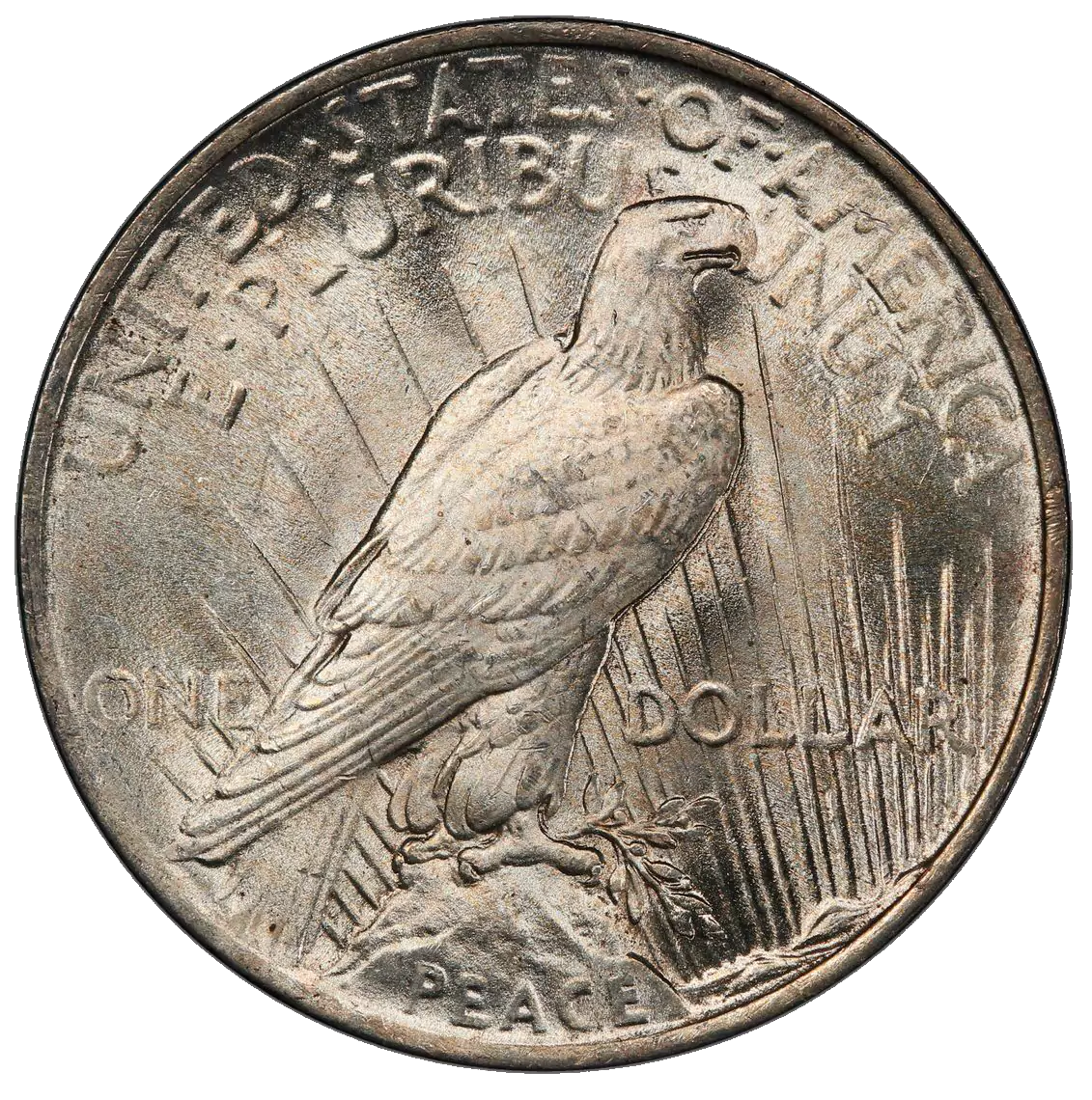 Reverse
